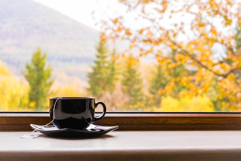 humidifier in the fall