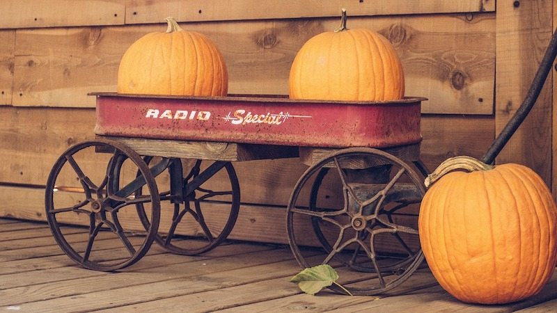Two pumpkins sitting in a red wagon where families need to learn about their furnace.